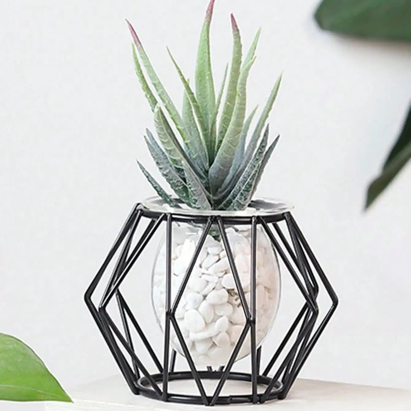 Black Metal Vase with Aloe Vera inside on a white surface