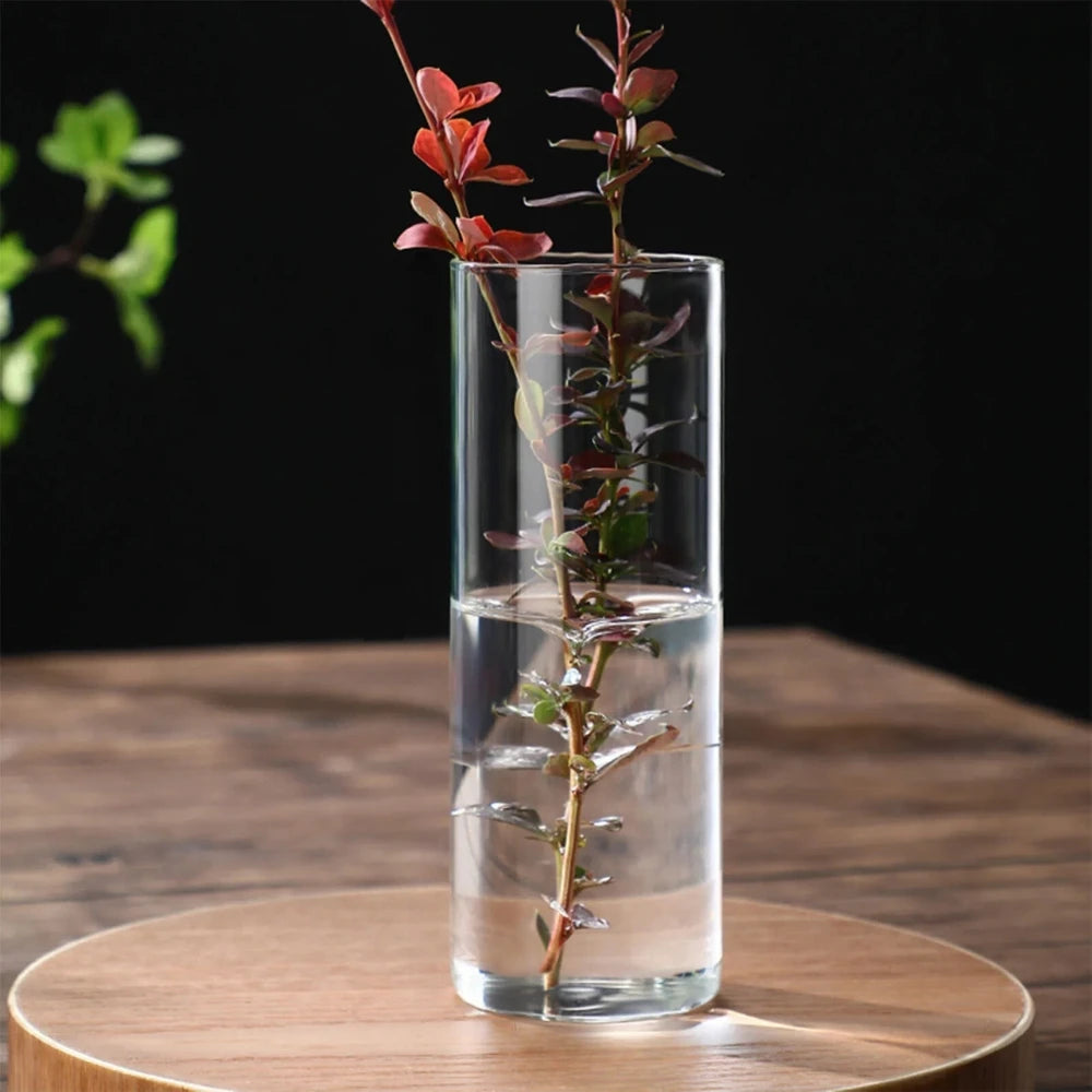 Clear Cylinder Vase with a plant inside with water on a wooden table