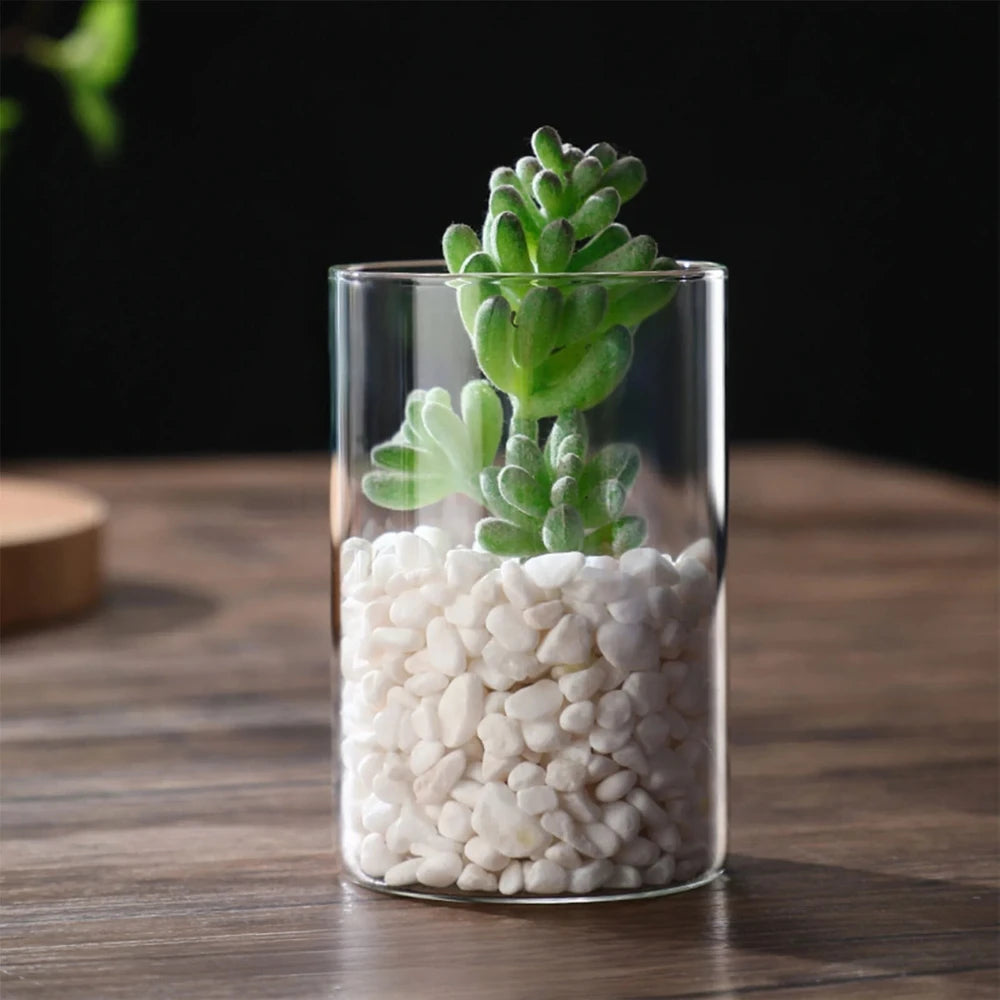 Small Cylinder Vase with a small green plant inside on a wooden table