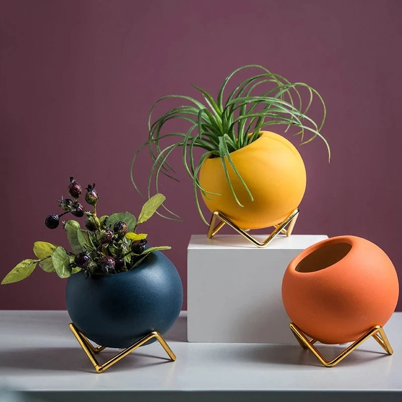 Three Small Round Vases with plants inside on a white surface